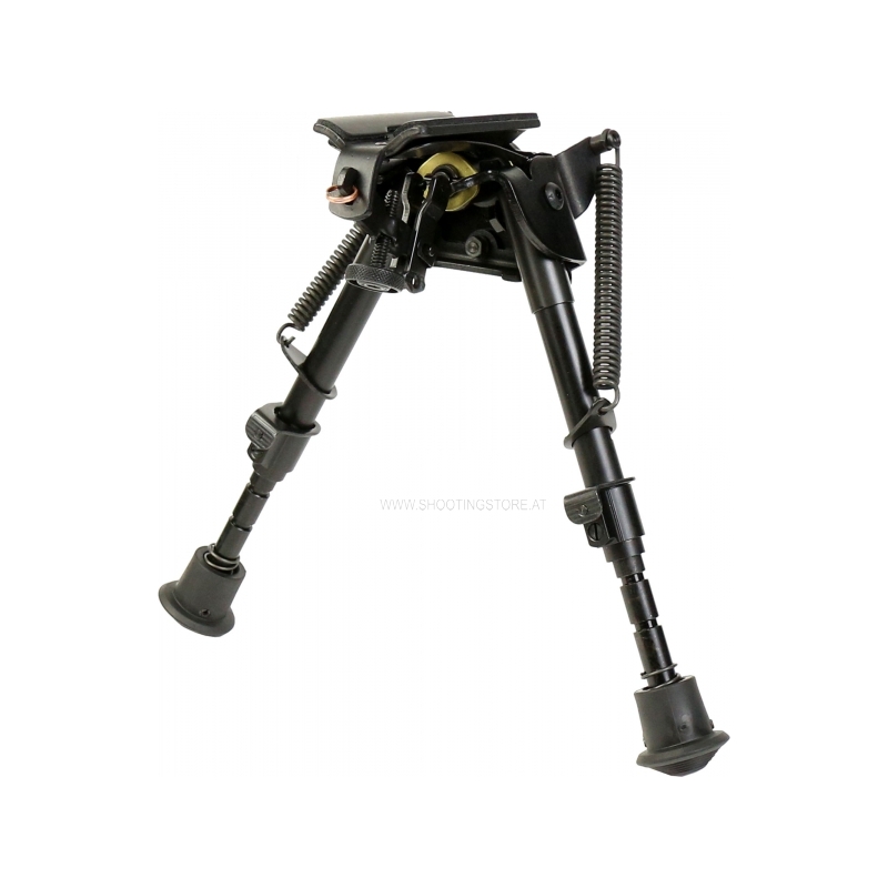 22sbrm_0.jpg 22sbrm_0.jpg